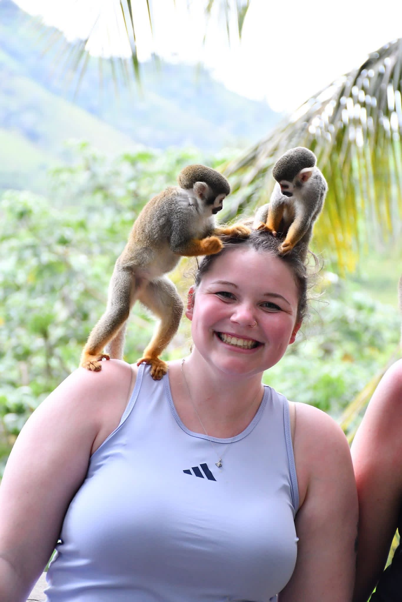 Monkeyland and Plantation Tour - photo 7