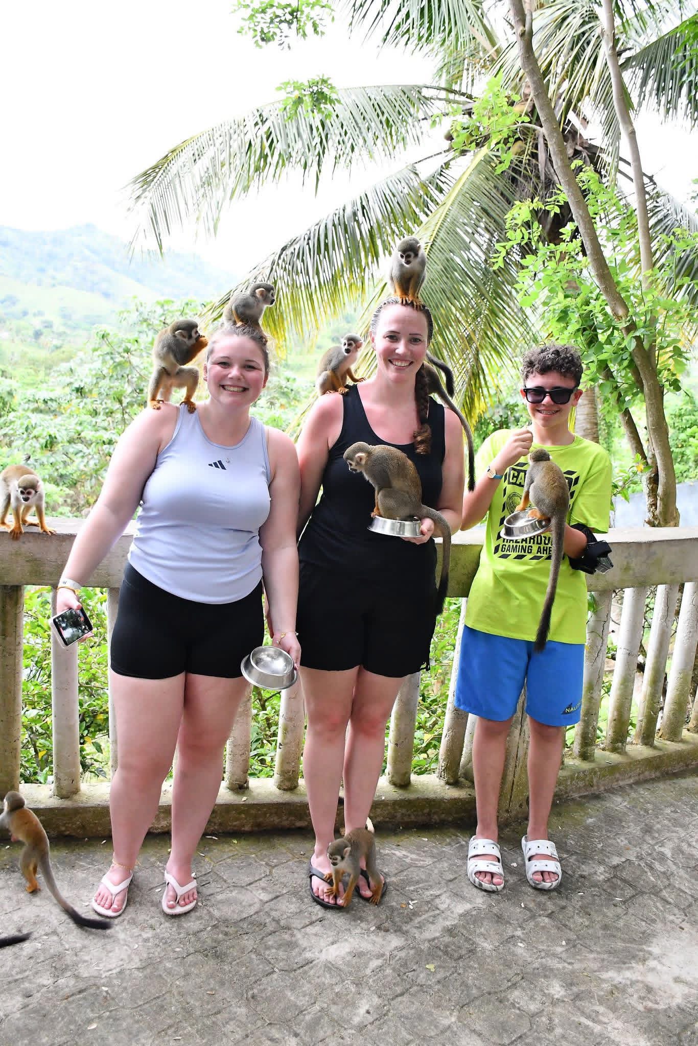 Monkeyland and Plantation Tour - photo 9