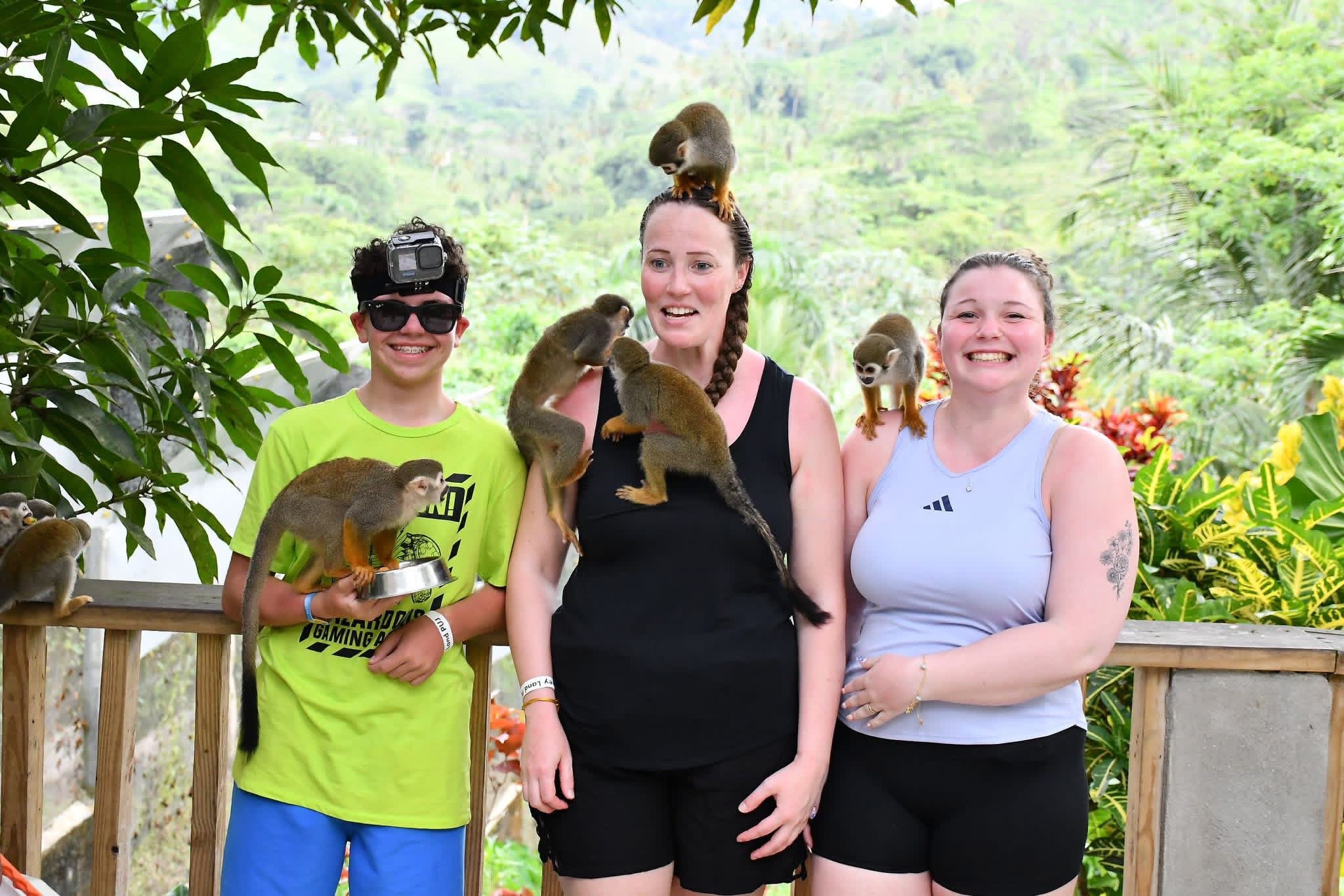 Monkeyland and Plantation Tour - photo 10
