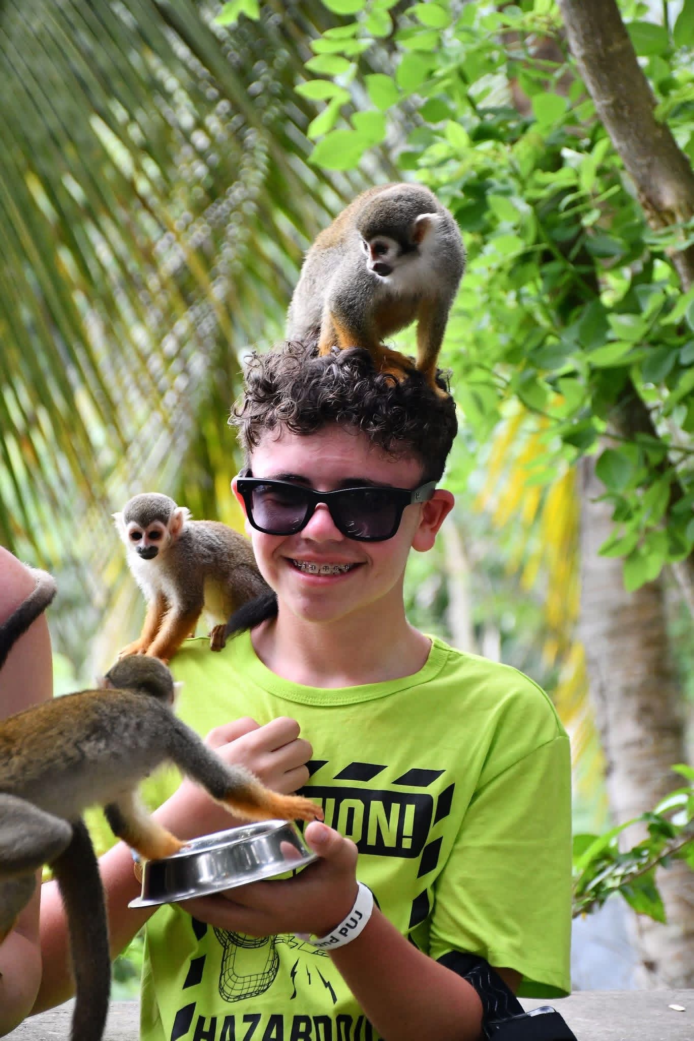 Monkeyland and Plantation Tour - photo 11