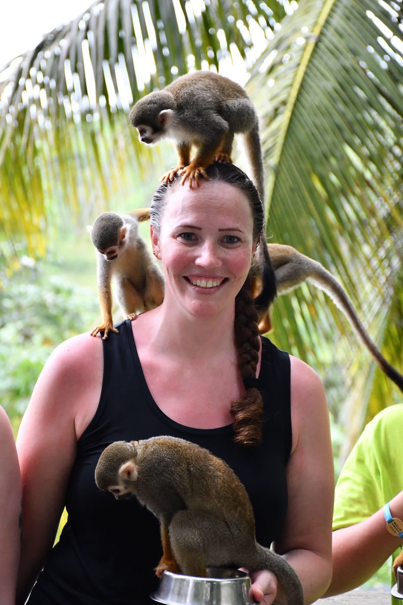 Monkeyland and Plantation Tour - photo 12