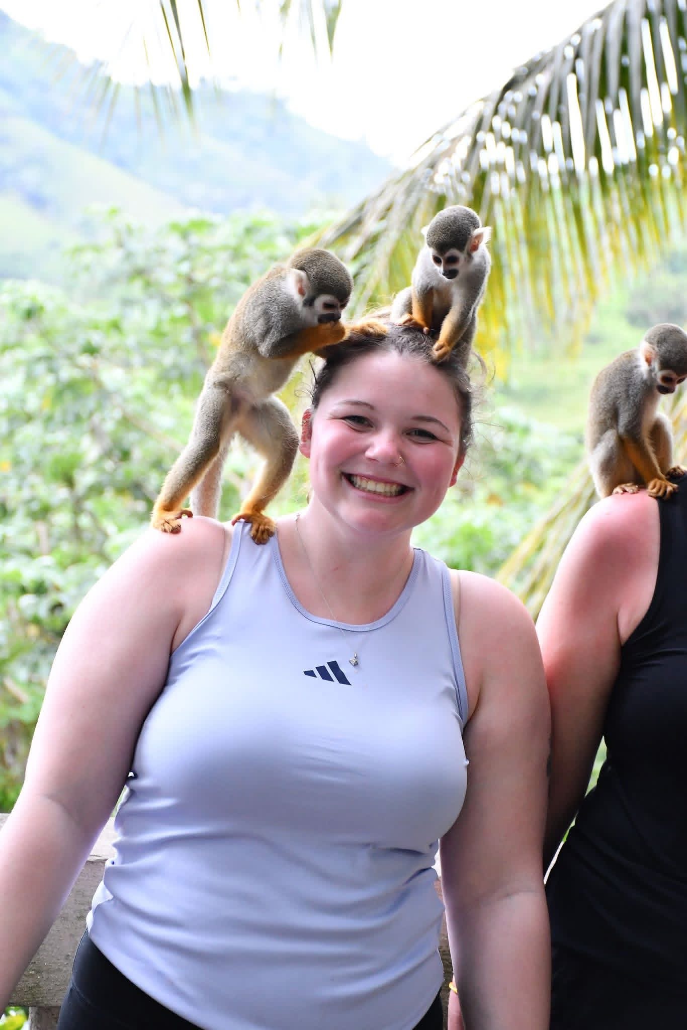 Monkeyland and Plantation Tour - photo 13