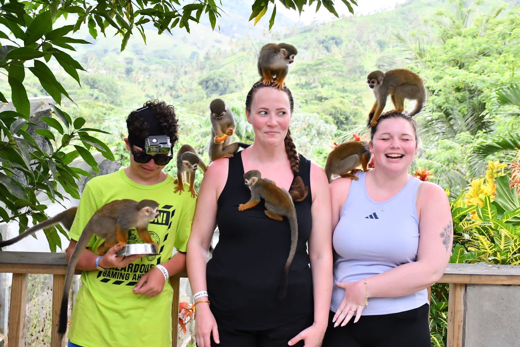 Monkeyland and Plantation Tour - photo 14