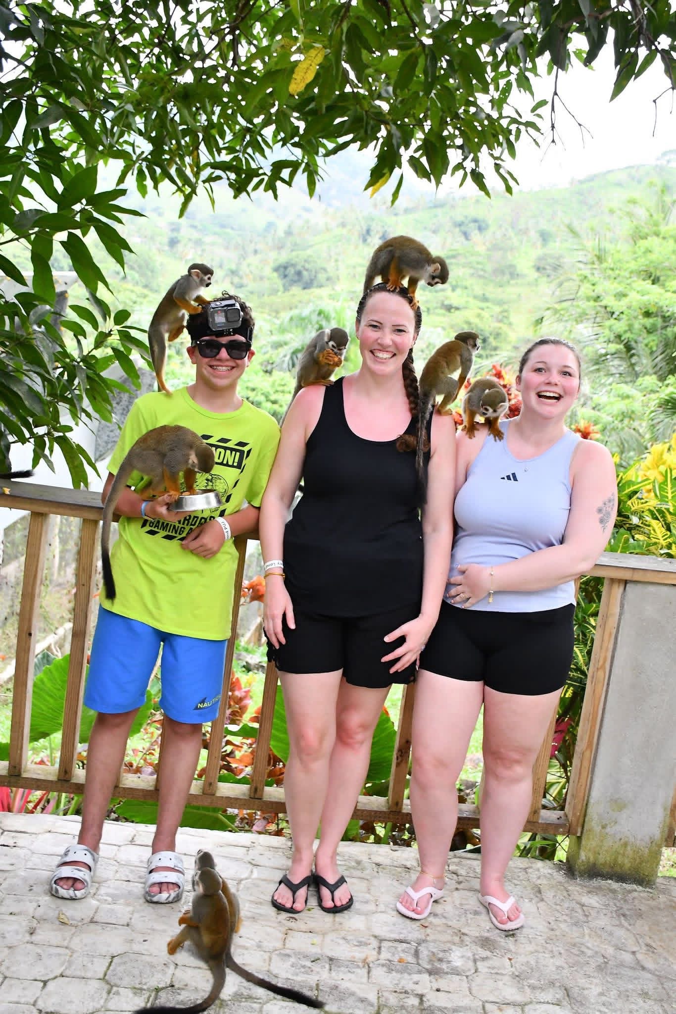 Monkeyland and Plantation Tour - photo 15