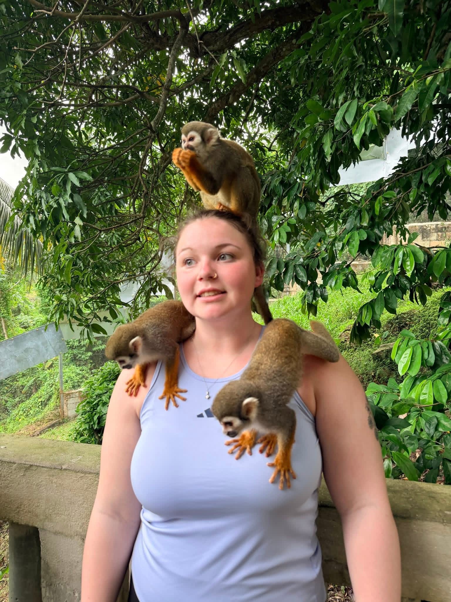 Monkeyland and Plantation Tour - photo 18