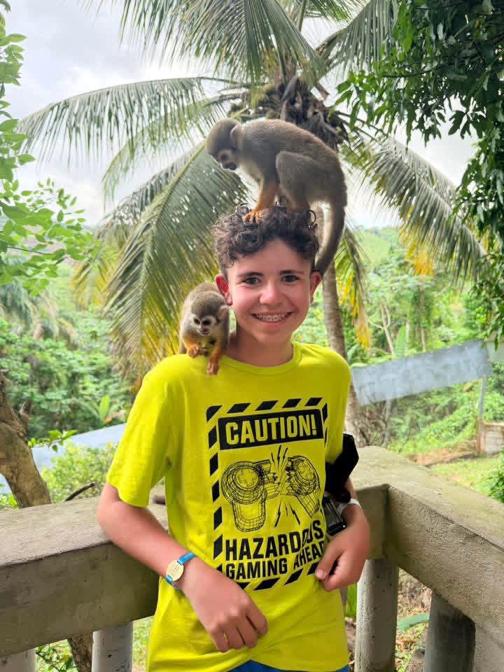 Monkeyland and Plantation Tour - photo 19