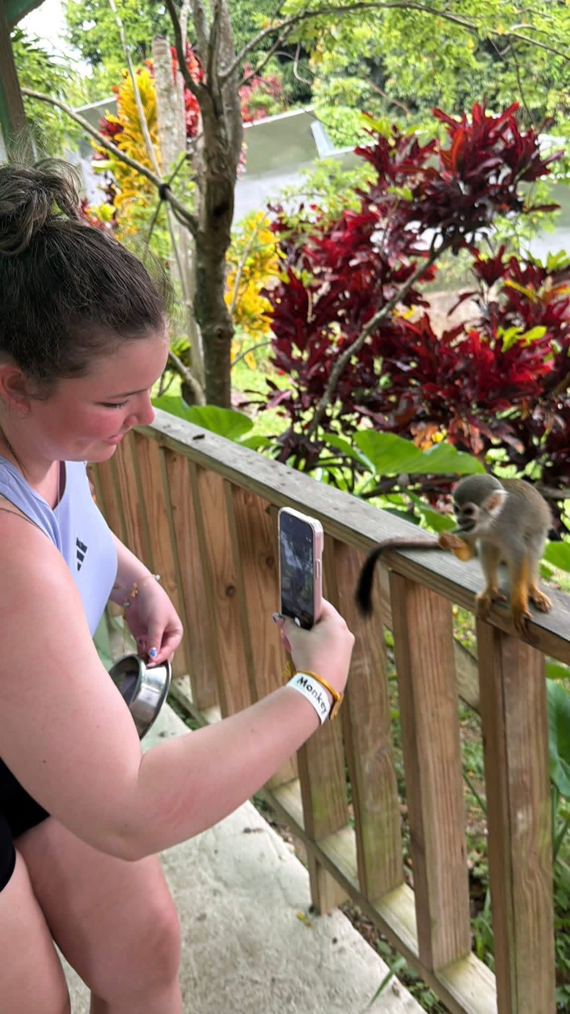 Monkeyland and Plantation Tour - photo 21