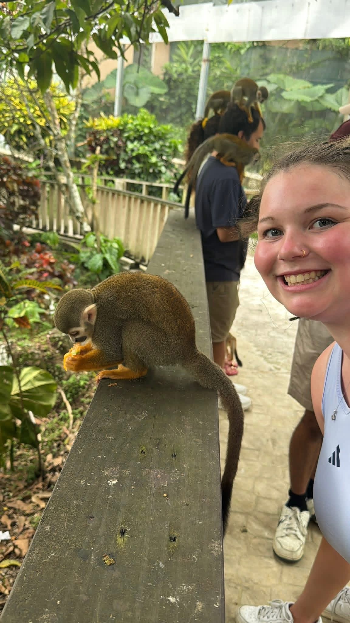 Monkeyland and Plantation Tour - photo 24