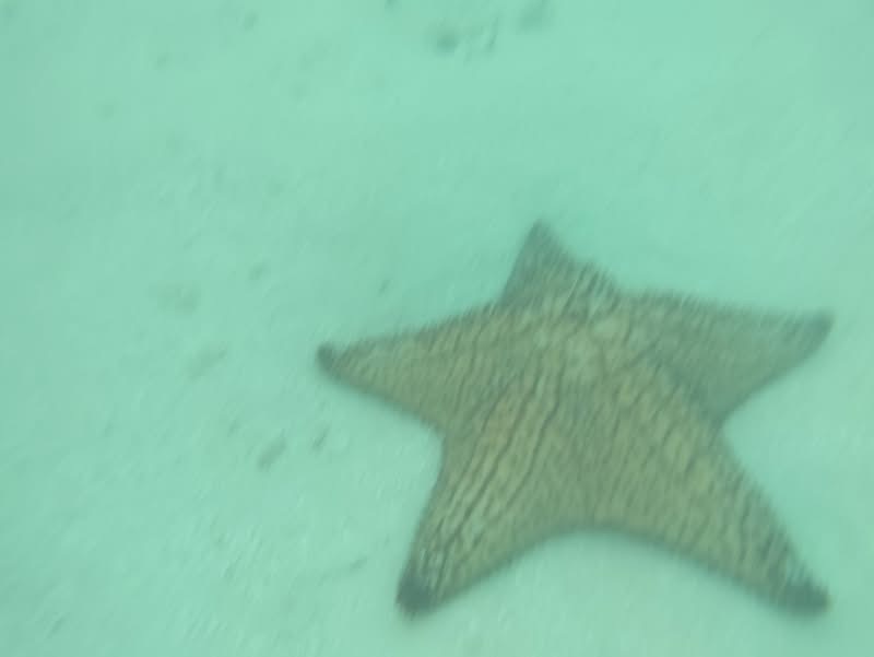 Saona Island Semi Private VIP - photo 42