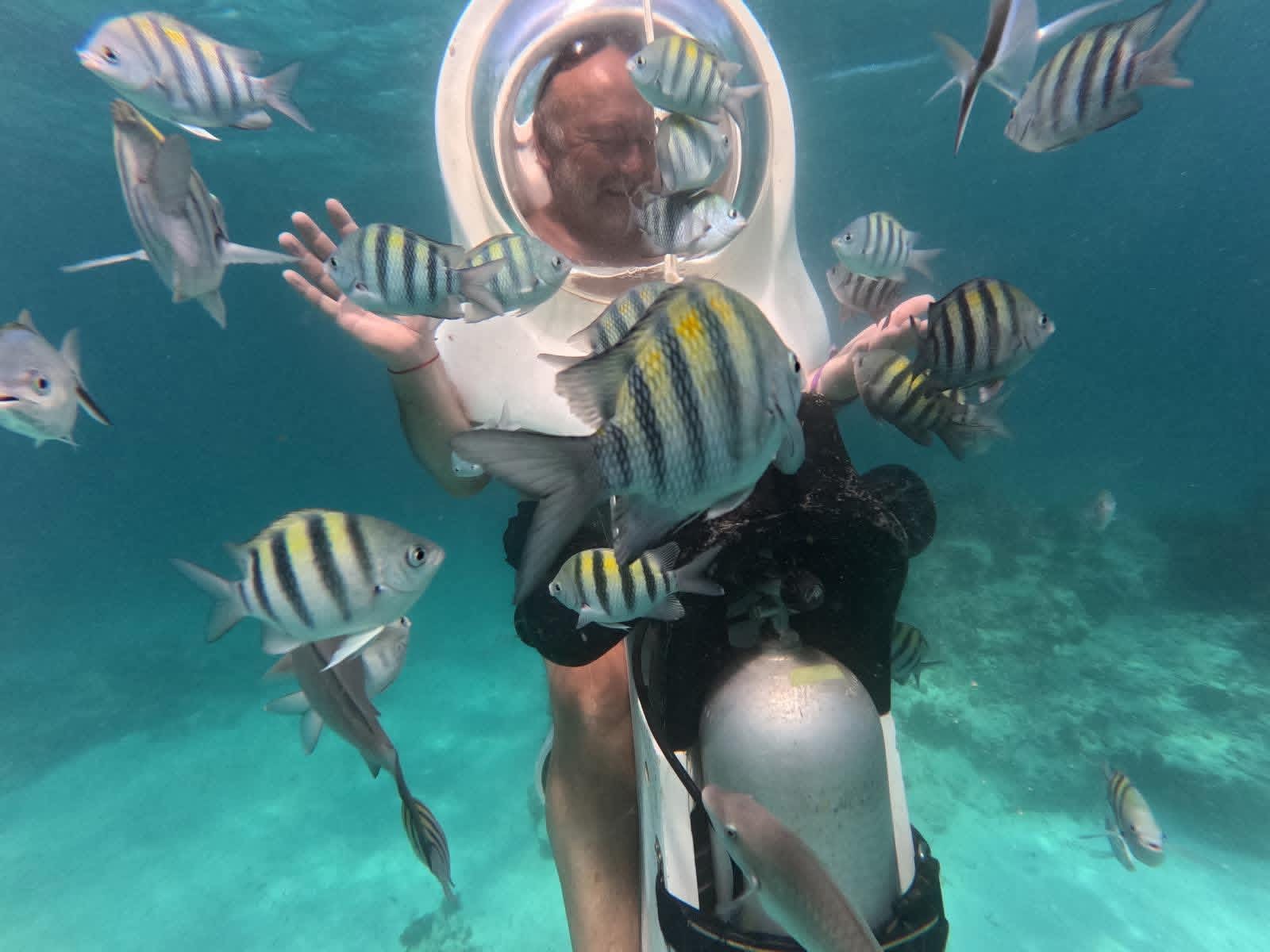 ScubaDoo Punta Cana – Explore the Underwater World with No Experience Needed - photo 7