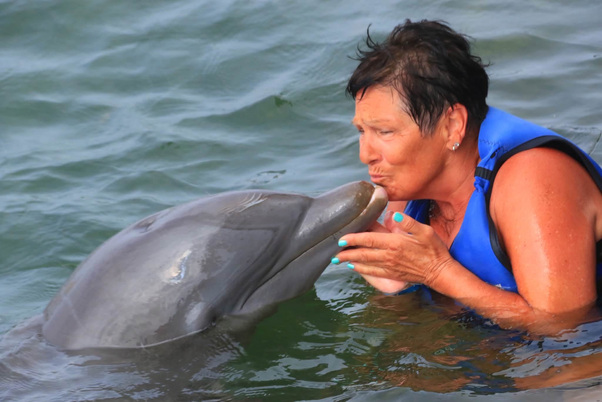 Dolphin Explorer Punta Cana | Swim with Dolphins in Punta Cana, Dominican Republic - photo 2