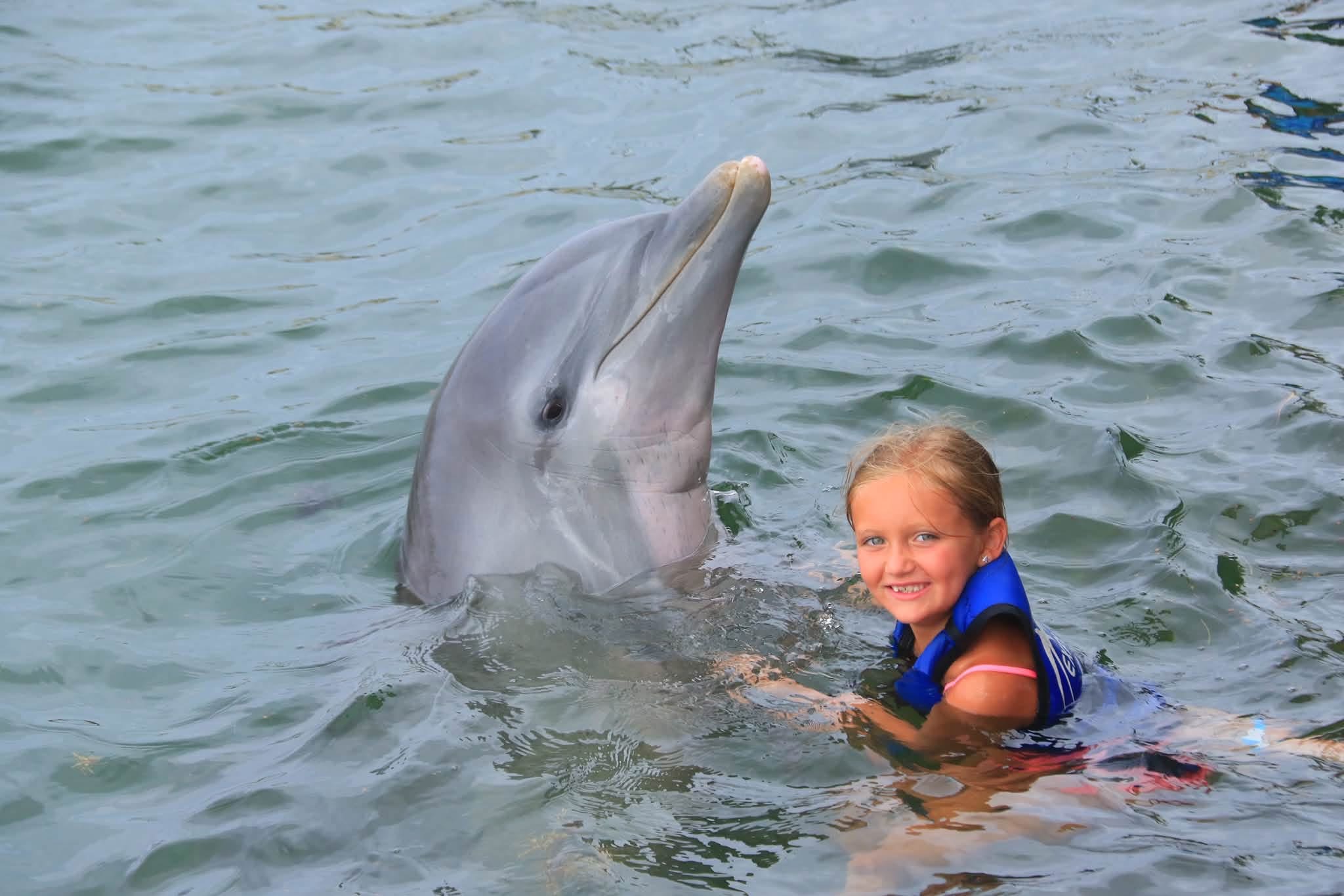 Dolphin Explorer Punta Cana | Swim with Dolphins in Punta Cana, Dominican Republic - photo 3