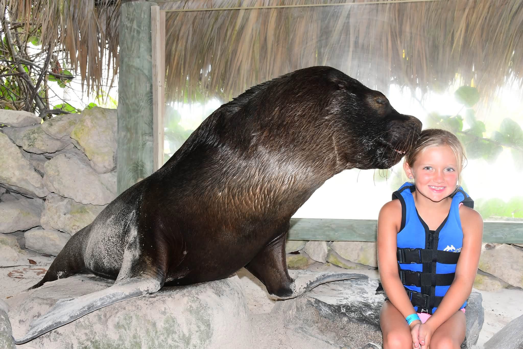 Dolphin Explorer Punta Cana | Swim with Dolphins in Punta Cana, Dominican Republic - photo 5