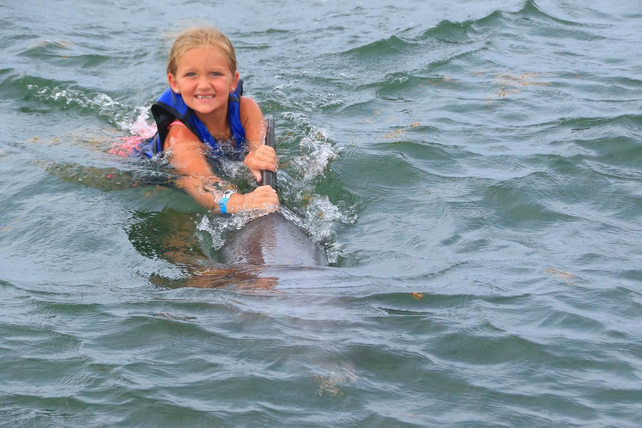 Dolphin Explorer Punta Cana | Swim with Dolphins in Punta Cana, Dominican Republic - photo 6