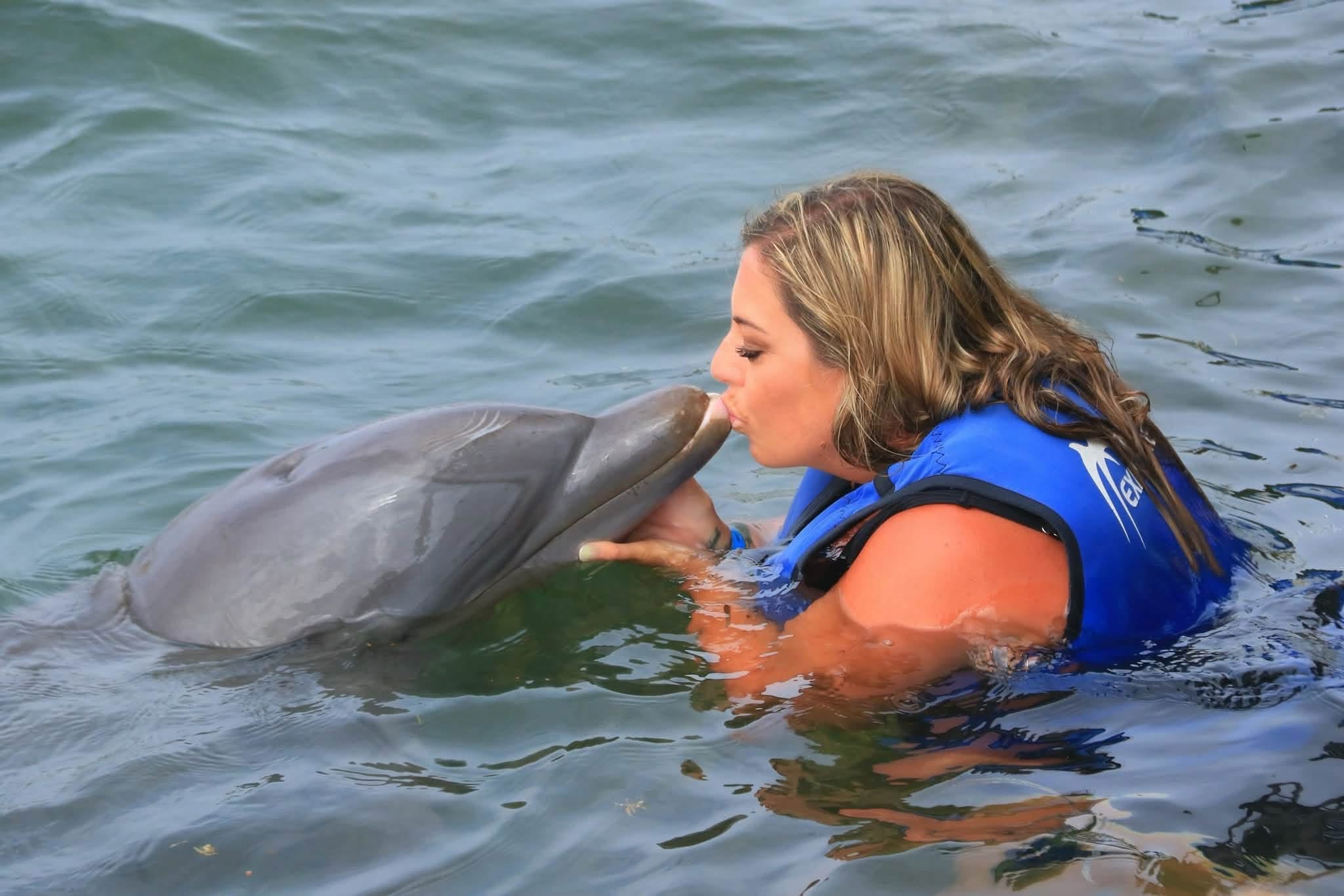 Dolphin Explorer Punta Cana | Swim with Dolphins in Punta Cana, Dominican Republic - photo 8