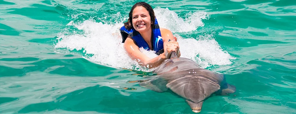 Dolphin Explorer Punta Cana | Swim with Dolphins in Punta Cana, Dominican Republic - photo 9
