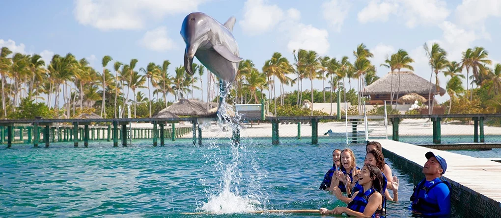 Dolphin Explorer Punta Cana | Swim with Dolphins in Punta Cana, Dominican Republic - photo 10