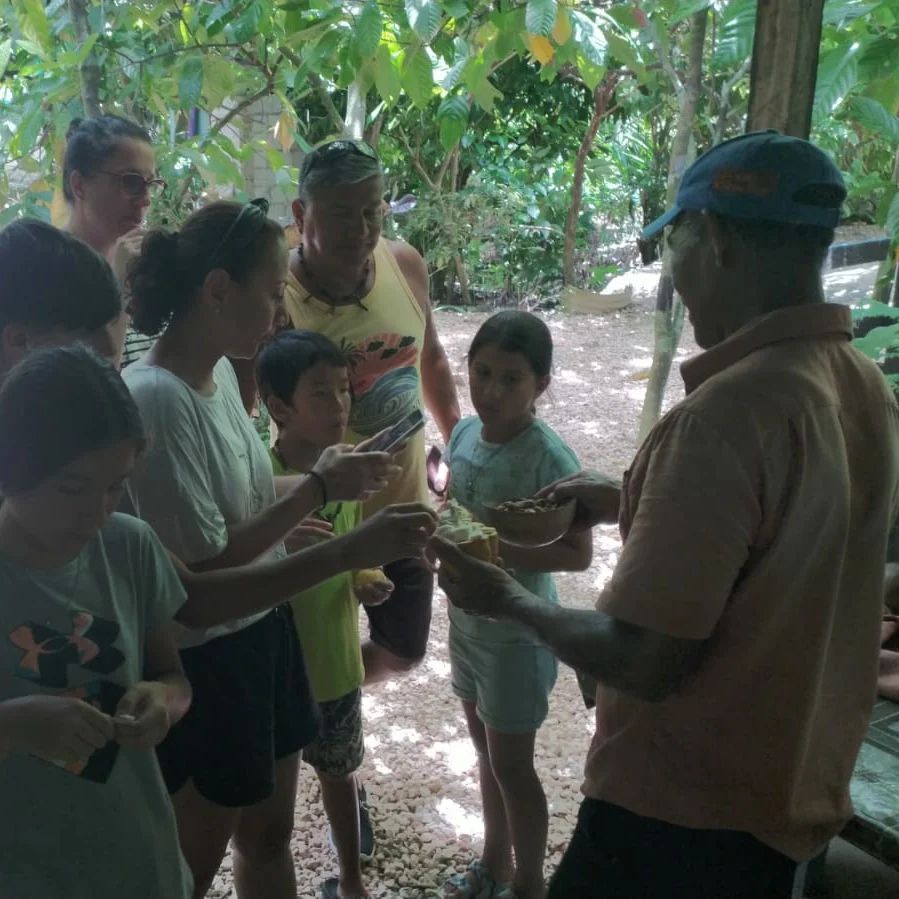 City Tour -Discover the Authentic Heart of the Dominican Republic - photo 9