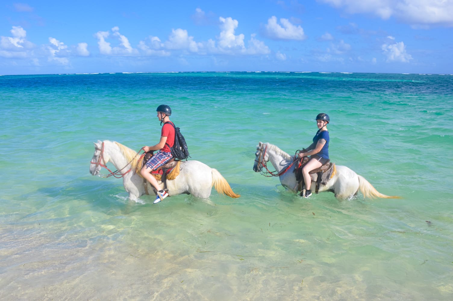 Beach Horseback Riding