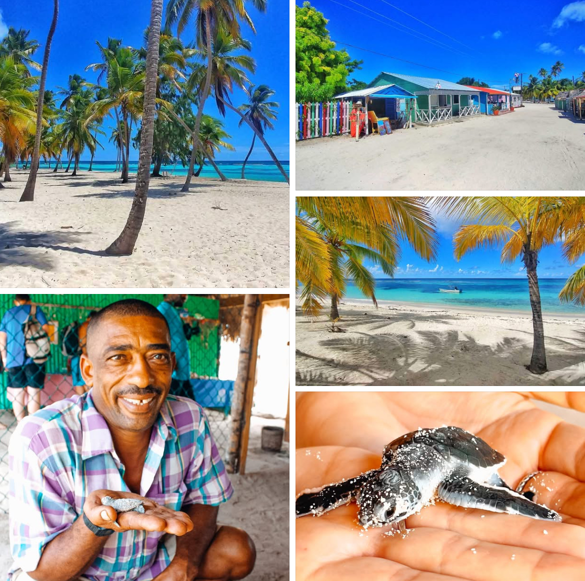 Saona Island Semi Private  VIP  By Seaside Punta cana excursions